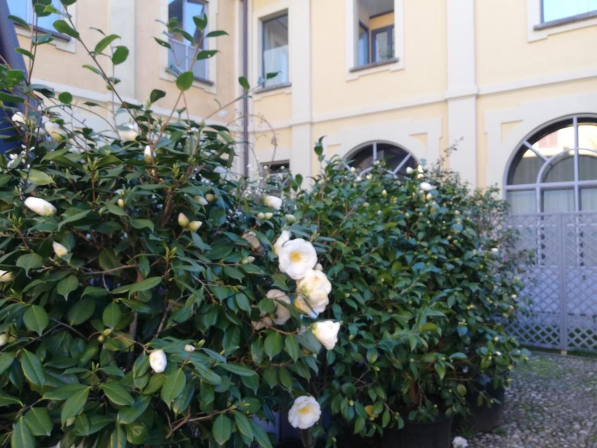 سيرينيو Lisander B&B Suite And Terrace المظهر الخارجي الصورة